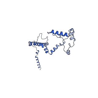 10861_6ynz_f3_v1-1
Cryo-EM structure of Tetrahymena thermophila mitochondrial ATP synthase - F1Fo composite tetramer model