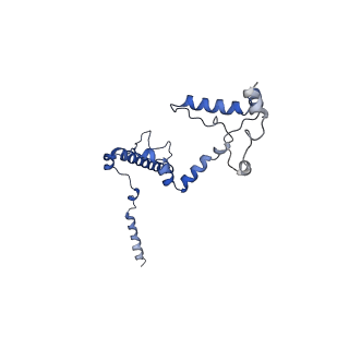 10861_6ynz_f_v1-1
Cryo-EM structure of Tetrahymena thermophila mitochondrial ATP synthase - F1Fo composite tetramer model