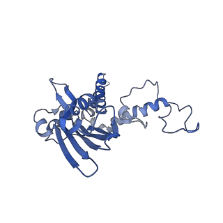 10861_6ynz_g3_v1-1
Cryo-EM structure of Tetrahymena thermophila mitochondrial ATP synthase - F1Fo composite tetramer model