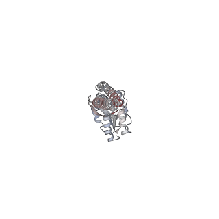 10861_6ynz_g5_v1-1
Cryo-EM structure of Tetrahymena thermophila mitochondrial ATP synthase - F1Fo composite tetramer model