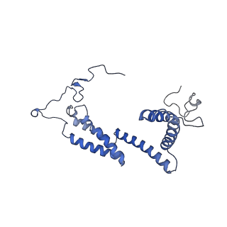 10861_6ynz_h3_v1-1
Cryo-EM structure of Tetrahymena thermophila mitochondrial ATP synthase - F1Fo composite tetramer model