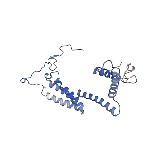 10861_6ynz_h_v1-1
Cryo-EM structure of Tetrahymena thermophila mitochondrial ATP synthase - F1Fo composite tetramer model