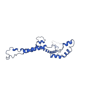 10861_6ynz_i3_v1-1
Cryo-EM structure of Tetrahymena thermophila mitochondrial ATP synthase - F1Fo composite tetramer model