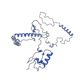 10861_6ynz_j3_v1-1
Cryo-EM structure of Tetrahymena thermophila mitochondrial ATP synthase - F1Fo composite tetramer model