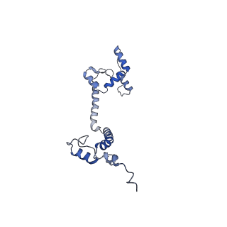 10861_6ynz_k3_v1-1
Cryo-EM structure of Tetrahymena thermophila mitochondrial ATP synthase - F1Fo composite tetramer model