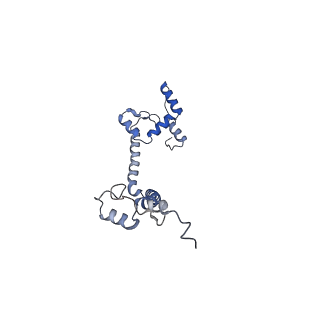 10861_6ynz_k_v1-1
Cryo-EM structure of Tetrahymena thermophila mitochondrial ATP synthase - F1Fo composite tetramer model