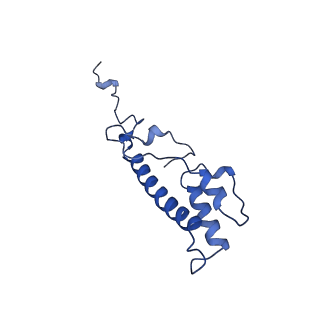 10861_6ynz_n3_v1-1
Cryo-EM structure of Tetrahymena thermophila mitochondrial ATP synthase - F1Fo composite tetramer model