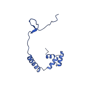 10861_6ynz_o3_v1-1
Cryo-EM structure of Tetrahymena thermophila mitochondrial ATP synthase - F1Fo composite tetramer model