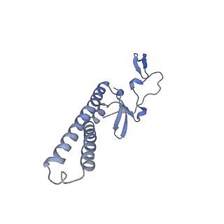 10861_6ynz_p3_v1-1
Cryo-EM structure of Tetrahymena thermophila mitochondrial ATP synthase - F1Fo composite tetramer model