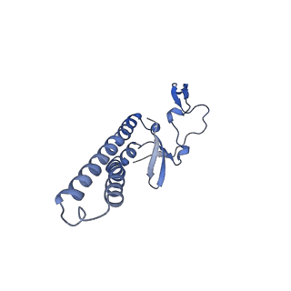 10861_6ynz_p_v1-1
Cryo-EM structure of Tetrahymena thermophila mitochondrial ATP synthase - F1Fo composite tetramer model