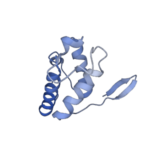 10861_6ynz_q3_v1-1
Cryo-EM structure of Tetrahymena thermophila mitochondrial ATP synthase - F1Fo composite tetramer model