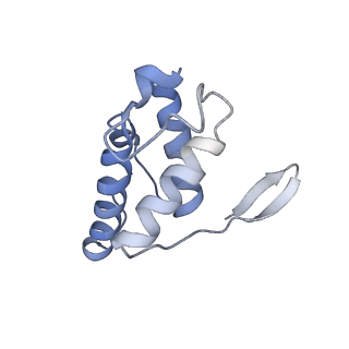 10861_6ynz_q_v1-1
Cryo-EM structure of Tetrahymena thermophila mitochondrial ATP synthase - F1Fo composite tetramer model
