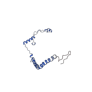 10861_6ynz_r3_v1-1
Cryo-EM structure of Tetrahymena thermophila mitochondrial ATP synthase - F1Fo composite tetramer model
