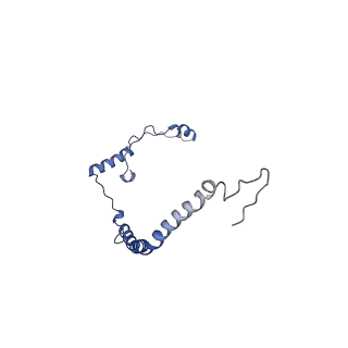 10861_6ynz_r_v1-1
Cryo-EM structure of Tetrahymena thermophila mitochondrial ATP synthase - F1Fo composite tetramer model