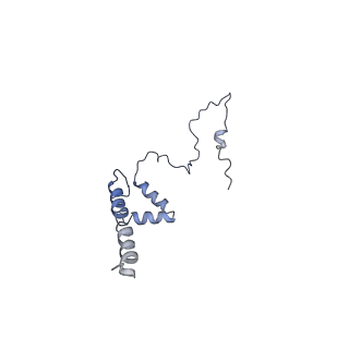 10861_6ynz_s3_v1-1
Cryo-EM structure of Tetrahymena thermophila mitochondrial ATP synthase - F1Fo composite tetramer model