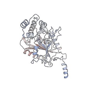 10861_6ynz_t3_v1-1
Cryo-EM structure of Tetrahymena thermophila mitochondrial ATP synthase - F1Fo composite tetramer model