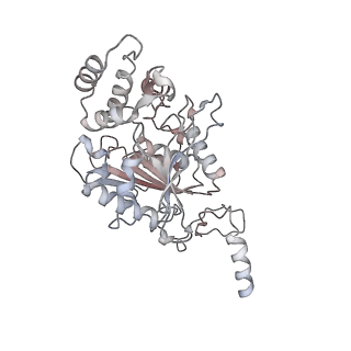 10861_6ynz_t_v1-1
Cryo-EM structure of Tetrahymena thermophila mitochondrial ATP synthase - F1Fo composite tetramer model