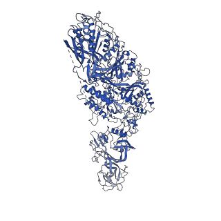 33956_7yna_A_v1-2
Cryo-EM structure of Cas7-11-crRNA bound to target RNA-1