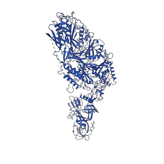 33958_7ync_A_v1-2
Cryo-EM structure of Cas7-11-crRNA bound to target RNA-3