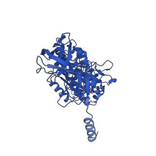 10862_6yo0_A1_v1-1
Cryo-EM structure of Tetrahymena thermophila mitochondrial ATP synthase - F1/peripheral stalk