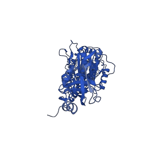 10862_6yo0_C1_v1-1
Cryo-EM structure of Tetrahymena thermophila mitochondrial ATP synthase - F1/peripheral stalk