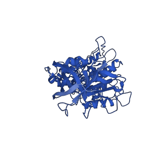 10862_6yo0_D1_v1-1
Cryo-EM structure of Tetrahymena thermophila mitochondrial ATP synthase - F1/peripheral stalk