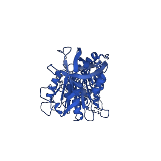 10862_6yo0_E1_v1-1
Cryo-EM structure of Tetrahymena thermophila mitochondrial ATP synthase - F1/peripheral stalk