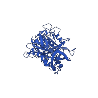 10862_6yo0_F1_v1-1
Cryo-EM structure of Tetrahymena thermophila mitochondrial ATP synthase - F1/peripheral stalk