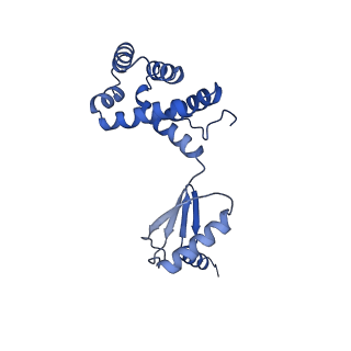 10862_6yo0_G1_v1-1
Cryo-EM structure of Tetrahymena thermophila mitochondrial ATP synthase - F1/peripheral stalk