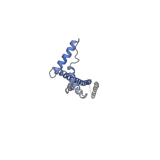 10862_6yo0_b_v1-1
Cryo-EM structure of Tetrahymena thermophila mitochondrial ATP synthase - F1/peripheral stalk