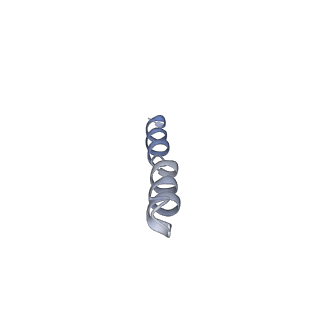 10862_6yo0_s_v1-1
Cryo-EM structure of Tetrahymena thermophila mitochondrial ATP synthase - F1/peripheral stalk