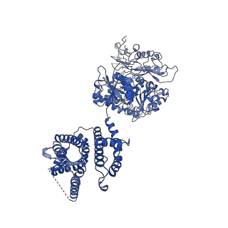 33977_7yo0_A_v1-0
Cryo-EM structure of human Slo1-LRRC26 complex with Symmetry Expansion