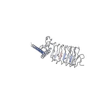 33977_7yo0_B_v1-0
Cryo-EM structure of human Slo1-LRRC26 complex with Symmetry Expansion
