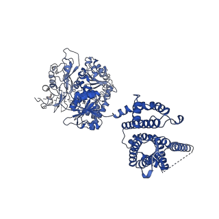 33977_7yo0_C_v1-0
Cryo-EM structure of human Slo1-LRRC26 complex with Symmetry Expansion