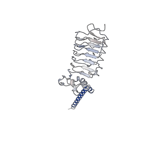 33977_7yo0_D_v1-0
Cryo-EM structure of human Slo1-LRRC26 complex with Symmetry Expansion