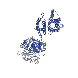 33977_7yo0_E_v1-0
Cryo-EM structure of human Slo1-LRRC26 complex with Symmetry Expansion