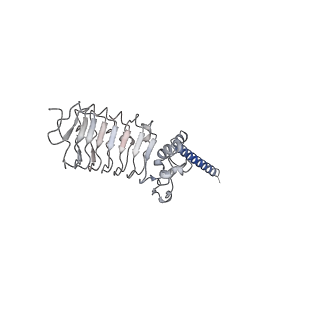 33977_7yo0_F_v1-0
Cryo-EM structure of human Slo1-LRRC26 complex with Symmetry Expansion