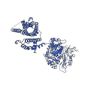 33977_7yo0_G_v1-0
Cryo-EM structure of human Slo1-LRRC26 complex with Symmetry Expansion