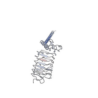 33977_7yo0_H_v1-0
Cryo-EM structure of human Slo1-LRRC26 complex with Symmetry Expansion