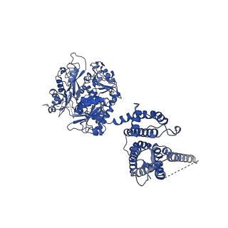 33978_7yo1_A_v1-0
Cryo-EM structure of RCK1 mutated human Slo1-LRRC26 complex