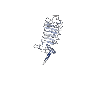 33978_7yo1_B_v1-0
Cryo-EM structure of RCK1 mutated human Slo1-LRRC26 complex