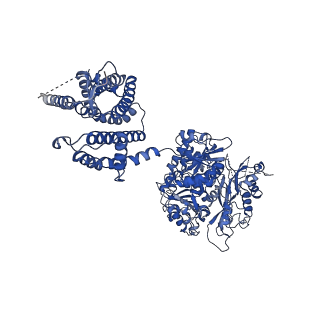 33978_7yo1_E_v1-0
Cryo-EM structure of RCK1 mutated human Slo1-LRRC26 complex