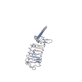 33978_7yo1_F_v1-0
Cryo-EM structure of RCK1 mutated human Slo1-LRRC26 complex