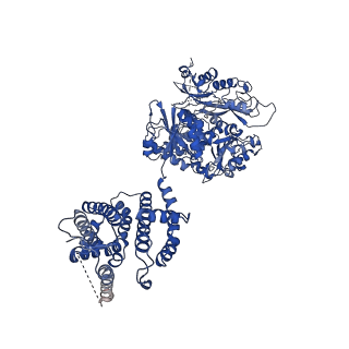 33978_7yo1_G_v1-0
Cryo-EM structure of RCK1 mutated human Slo1-LRRC26 complex