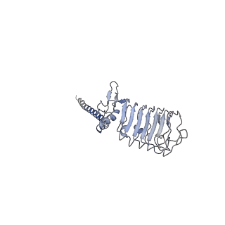 33978_7yo1_H_v1-0
Cryo-EM structure of RCK1 mutated human Slo1-LRRC26 complex