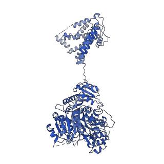 33979_7yo2_C_v1-0
Cryo-EM structure of RCK1-RCK2 mutated human Slo1 apo