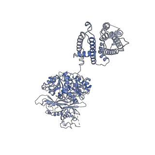 33981_7yo4_A_v1-0
Cryo-EM structure of RCK1-RCK2 mutated human Slo1-LRRC26 complex