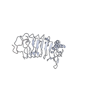 33981_7yo4_B_v1-0
Cryo-EM structure of RCK1-RCK2 mutated human Slo1-LRRC26 complex