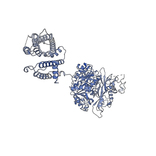 33981_7yo4_C_v1-0
Cryo-EM structure of RCK1-RCK2 mutated human Slo1-LRRC26 complex