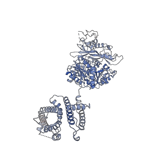 33981_7yo4_E_v1-0
Cryo-EM structure of RCK1-RCK2 mutated human Slo1-LRRC26 complex